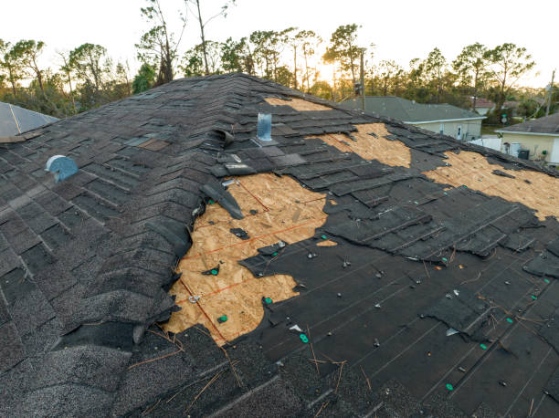 Best Skylight Installation and Repair  in Strodes Mills, PA